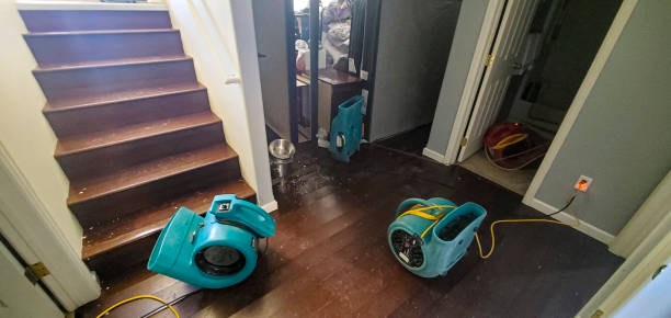 Best Water damage cleanup near me  in Bull Mountain, OR