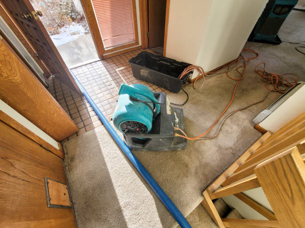 Best Emergency water damage restoration  in Bull Mountain, OR