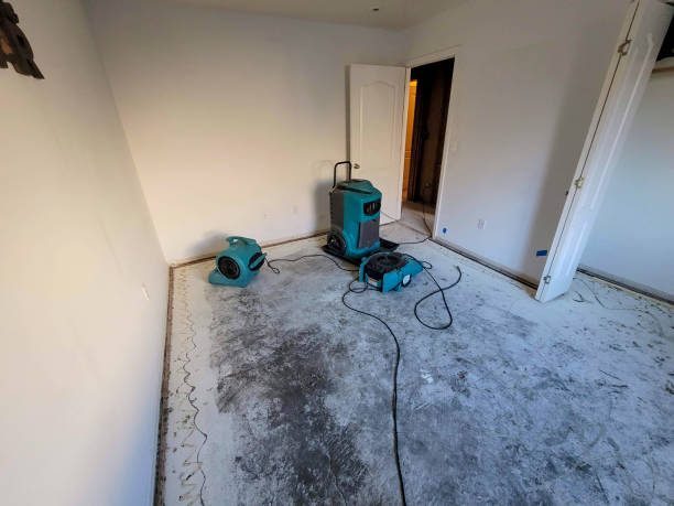 Best Commercial water damage restoration  in Bull Mountain, OR