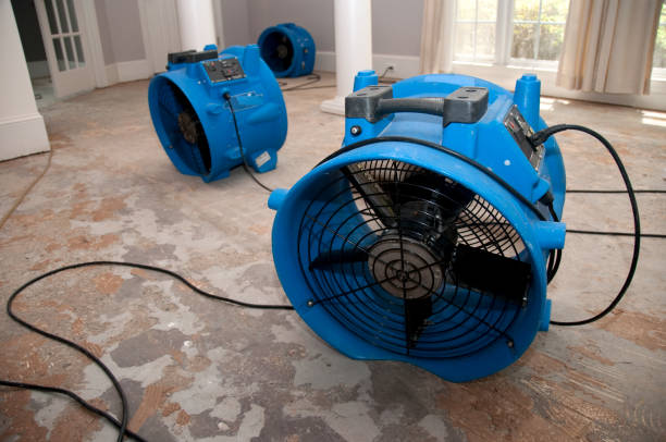 Best Flooded house restoration  in Bull Mountain, OR