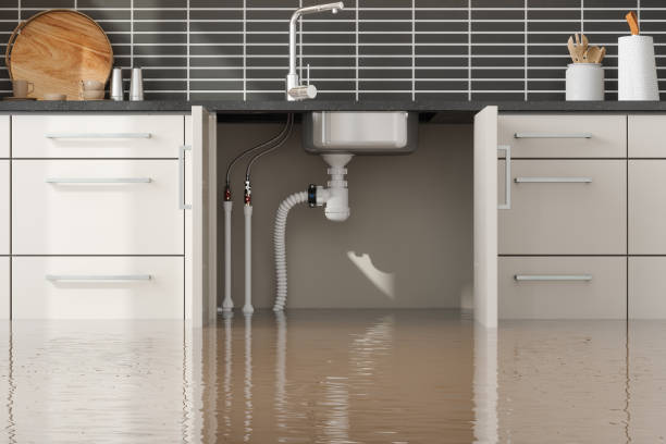 Best Residential water damage restoration  in Bull Mountain, OR