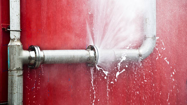 Best Professional water damage repair  in Bull Mountain, OR